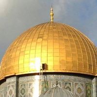 عصام الوكيلي