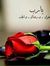 Ahmed A...
