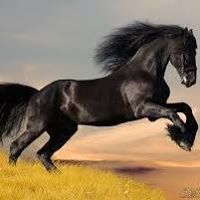 المعاملهے المعاملهے