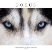 Marti Schlittenhardt