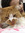Cally | 29 comments