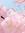 member photo member photo