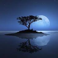 Chathurie Priyadarshanie