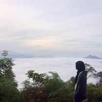UP Freen