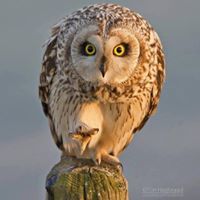 ตระกลู ตาทิพย์