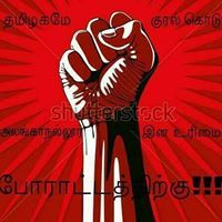 செந்தில் விக்கி