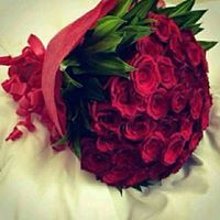 Manal Elsayed