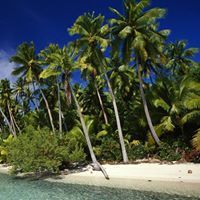 دريدي تاريخ