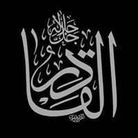 د.عمرو السيد