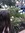 Adriana Shnayderman | 7 comments