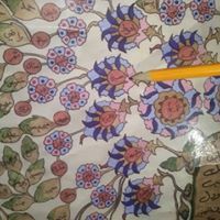 تجمع الساده