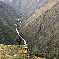 Cecelia Pompeii-Wolfe