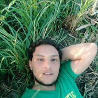 Mohamed Hegazy