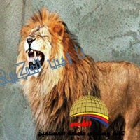 وهيب الحكيمي