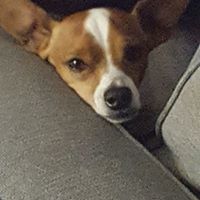 Denise Mac Donagh-Lytle