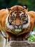 Sandeep...