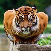 Sandeep Adhav