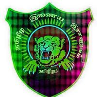 எல்லாளன் படை