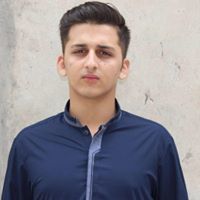 Chaudry Ali