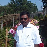 Ramanathan Gopalan