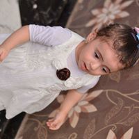Mohamed Shawky