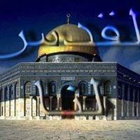 نقابى الدنيا