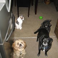 Sharon Murray McGrath