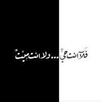 مصطفى رضوان