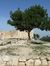 Hejar S...