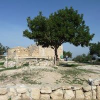 Hejar Saadeh