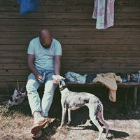 Patris Židelevičius