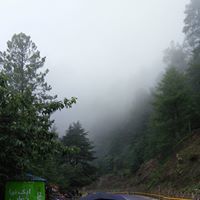 Hasham Siddiqui