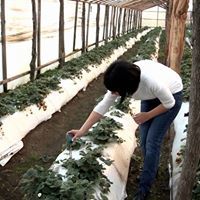 მხოლოდ შენთვის