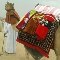 عبدالرحمن يوسف