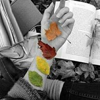 آوراق الخريف