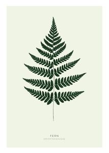 Ege