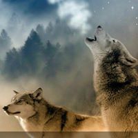 Δωρα Παπαδοπουλου