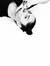 Doina