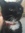 Jerome’s Cat (jeromescat) | 4 comments