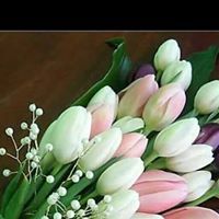 احمد ابن عبد السلام