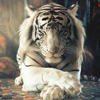 ਗੁਨੀਤ ਸਹਾਰਨ