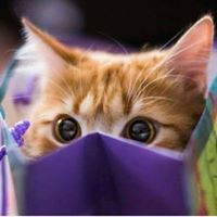 Sharmy Gnanaganeshan