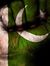 Umair R...