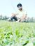Reyan S...