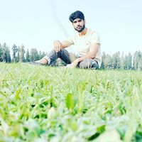 Reyan Saqib