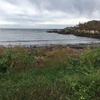 Peg Birmingham Bauer