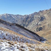 علی کیا کیا