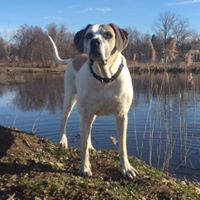 Christopher McFedries