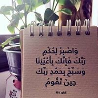 لمياء حمدى