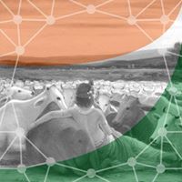 Gourav Yadav
